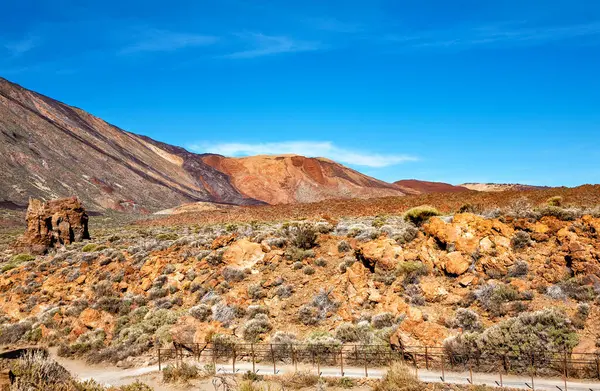 Volkanik manzara, Tenerife Adası, Kanarya Adaları, İspanya, Avrupa