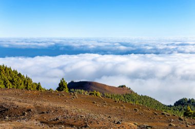Volkanik manzara boyunca Ruta de los Volcanes, Cumbre Vieja, La Palma Adası, Kanarya Adaları, İspanya, Avrupa
