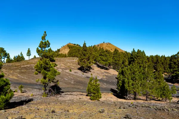 Volkanik manzara boyunca Ruta de los Volcanes, La Palma Adası, Kanarya Adaları, İspanya, Avrupa