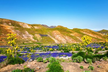 Dağ manzarası, Lanzarote Adası, Kanarya Adaları, İspanya, Avrupa