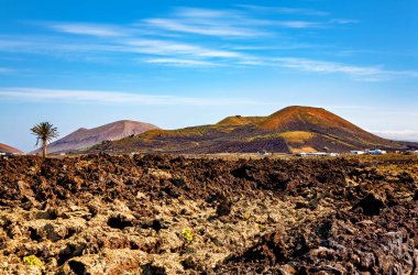 Volkanik manzara, Lanzarote Adası, Kanarya Adaları, İspanya, Avrupa