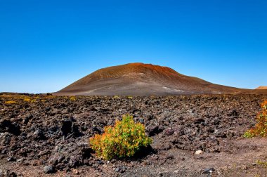 Volkanik manzara, Lanzarote Adası, Kanarya Adaları, İspanya, Avrupa