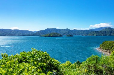 Kraliçe Charlotte Sound, Marlborough Sesleri, Güney Adası, Yeni Zelanda, Okyanus