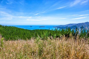 Croisilles Limanı, Marlborough Sesleri, Güney Adası, Yeni Zelanda, Okyanus