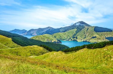 Cissy Körfezi, Marlborough Sesleri, Güney Adası, Yeni Zelanda, Okyanusya