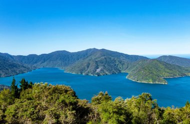 Endeavour Körfezi, Marlborough Sesleri, Güney Adası, Yeni Zelanda, Okyanus
