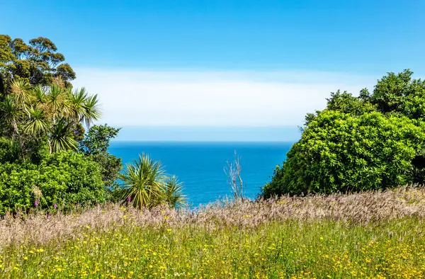Güney Adası 'nın batı kıyısı, Yeni Zelanda, Okyanusya.