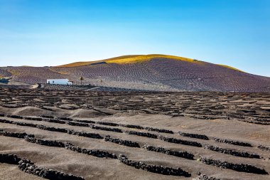 Volkanik manzara, La Geria, Lanzarote Adası, Kanarya Adaları, İspanya, Avrupa
