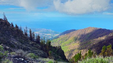 Tenerife Adası 'nın batı kıyısı, Kanarya Adaları, İspanya, Avrupa