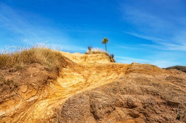 Yürüme yolu, Onawe Yarımadası, Banks Yarımadası, Canterbury, Güney Adası, Yeni Zelanda, Okyanusya