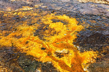 Orakei Korako Parkı, Taupo, Kuzey Adası, Yeni Zelanda ve Okyanusya 'da Dünya yüzeyine yakın çekim