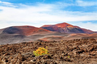 Timanfaya Ulusal Parkı, Lanzarote Adası, Kanarya Adaları, İspanya, Avrupa