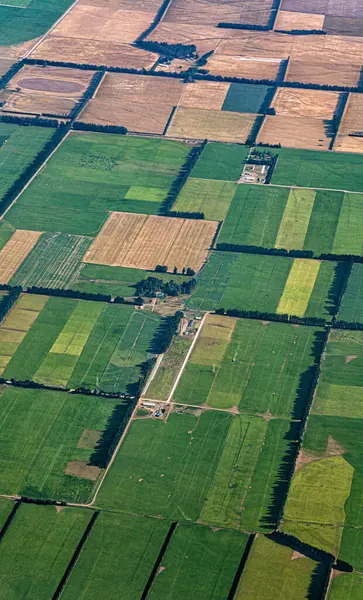 Methven, Canterbury, Güney Adası, Yeni Zelanda, Okyanusya yakınlarındaki tarım alanları