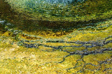 Dünya yüzeyine yakın, Waimangu Volkanik Vadisi, Rotorua, Kuzey Adası, Yeni Zelanda, Okyanusya