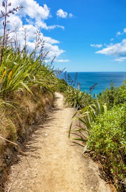 Mangawhai Uçurum Yürüyüşü, Kuzey Adası, Yeni Zelanda, Okyanusya. 