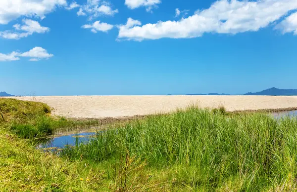 Ding Bay, Langs Sahili, Waipu, Kuzey Adası, Yeni Zelanda, Okyanus. 