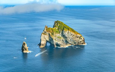 Motukumara Kayası, Whangamumu Sahili, Kuzey Adası, Yeni Zelanda, Okyanus. 