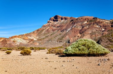 Volkanik manzara, Tenerife Adası, Kanarya Adaları, İspanya, Avrupa