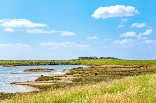 Hallig Hooge, Kuzey Friesland, Schleswig-Holstein, Almanya, Avrupa.