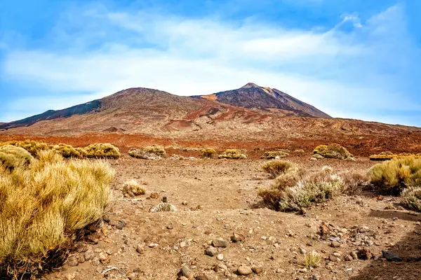 Volkanik manzara, Tenerife Adası, Kanarya Adaları, İspanya, Avrupa