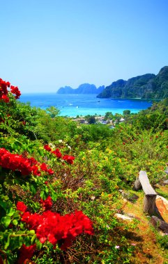 Ko Phi Phi Don Adası, Tonsai Körfezi, Krabi ili, Tayland