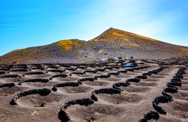Volkanik manzara, La Geria, Lanzarote Adası, Kanarya Adaları, İspanya, Avrupa