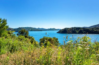 Ngakuta Körfezi, Marlborough Sesleri, Güney Adası, Yeni Zelanda, Okyanus