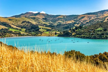 Akaroa Körfezi, Canterbury, Güney Adası, Yeni Zelanda, Okyanusya