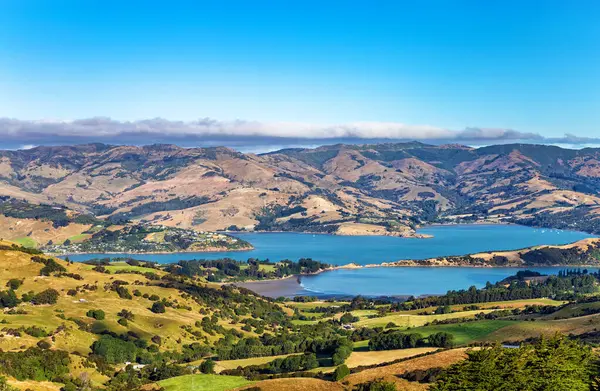 Akaroa Körfezi, Canterbury, Güney Adası, Yeni Zelanda, Okyanusya