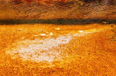 Orakei Korako Parkı, Taupo, Kuzey Adası, Yeni Zelanda ve Okyanusya 'da Dünya yüzeyine yakın çekim