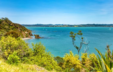 Tapeka Plajı, Russell, Kuzey Adası, Yeni Zelanda, Okyanusya. 