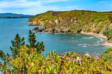 Rocky Körfezi Rezervi, Russell, Kuzey Adası, Yeni Zelanda, Okyanusya. 