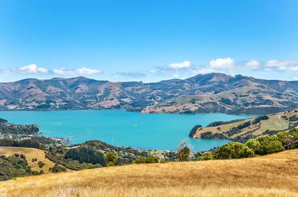 Akaroa Körfezi, Canterbury, Güney Adası, Yeni Zelanda, Okyanusya