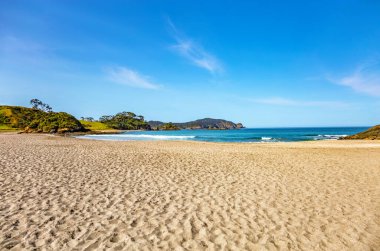 Elliot Körfezi, Kuzey Adası, Yeni Zelanda, Okyanusya. 