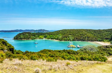 Otehei Körfezi, Urupukapuka Adası, Adalar Körfezi, Kuzey Adası, Yeni Zelanda, Okyanusya. 