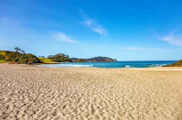 Elliot Körfezi, Kuzey Adası, Yeni Zelanda, Okyanusya. 