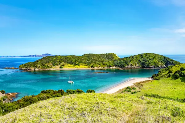 Waewaetorea Adası, Adalar Körfezi, Kuzey Adası, Yeni Zelanda, Okyanusya. 
