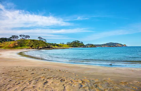 Elliot Körfezi, Kuzey Adası, Yeni Zelanda, Okyanusya. 