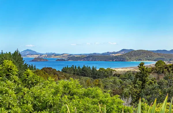 Tutukaka Limanı, Kuzey Adası, Yeni Zelanda, Okyanusya.