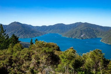Endeavour Körfezi, Tawa Körfezi, Marlborough Sesleri, Güney Adası, Yeni Zelanda, Okyanusya