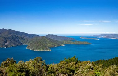Endeavour Körfezi, Marlborough Sesleri, Güney Adası, Yeni Zelanda, Okyanus