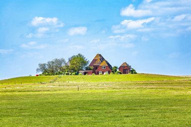 Hallig Hooge, Kuzey Friesland, Schleswig-Holstein, Almanya, Avrupa.