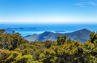 Marlborough Sesleri, Güney Adası, Yeni Zelanda, Okyanusya