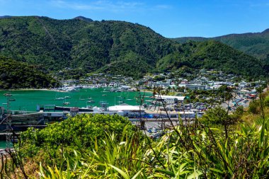 Picton Limanı, Marlborough Sesleri, Güney Adası, Yeni Zelanda, Okyanus