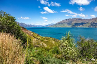 Wanaka Gölü ve sıradağları, Otago, Güney Adası, Yeni Zelanda, Okyanusya