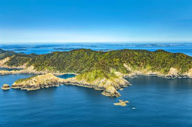 Whangamumu Sahili, Kuzey Adası, Yeni Zelanda, Okyanus. 