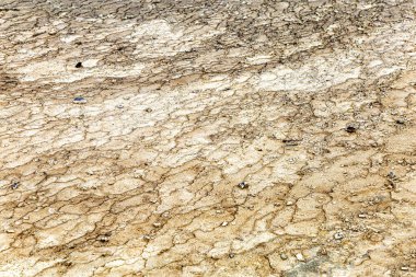 Dünya yüzeyine yakın çekim, Waiotapu Termal Harikalar Diyarı, Rotorua, Kuzey Adası, Yeni Zelanda, Okyanus. 