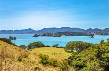 Urupukapuka Adası, Adalar Körfezi, Kuzey Adası, Yeni Zelanda, Okyanusya. 