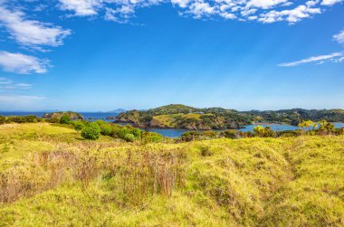 Tutukaka Limanı, Kuzey Adası, Yeni Zelanda, Okyanusya.