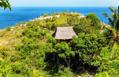 Ağaç ev, Elmas Sahili, Ada Nusa Penida, Endonezya, Güneydoğu Asya